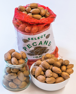 IN-SHELL PECANS